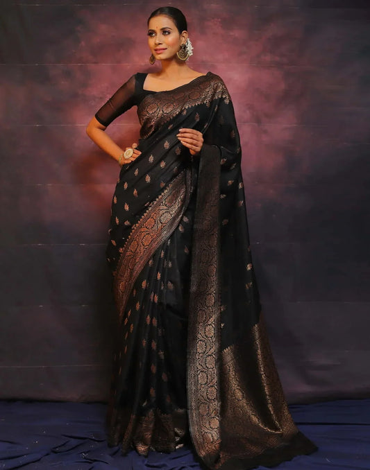 Denouement Black Kanjivaram Silk Saree With Felicitous Blouse Piece