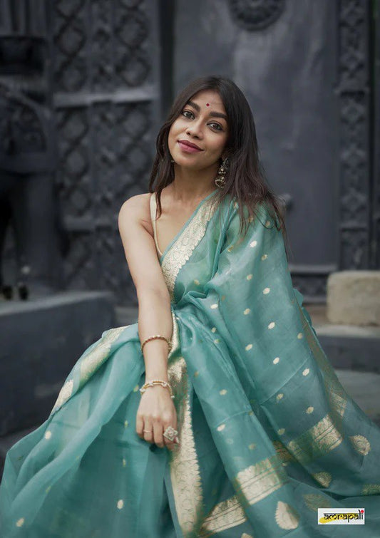 Sophisticated Sky Soft Silk Saree with Comely Blouse Piece