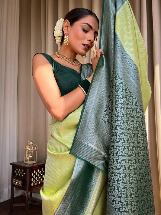 Flaunt Parrot Paithani Silk Saree With Gratifying Blouse Piece