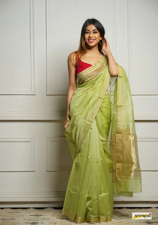 Extraordinary Parrot Paithani Silk Saree With Lovely Blouse Piece
