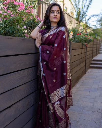 Lissome Wine Soft Silk Saree With Desultory Blouse Piece