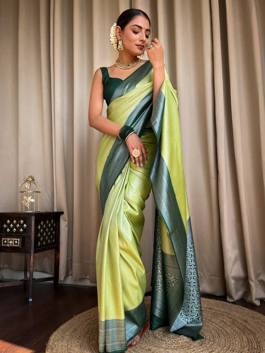 Flaunt Parrot Paithani Silk Saree With Gratifying Blouse Piece
