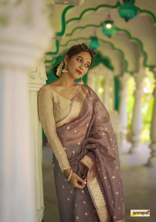 Lissome Cream Soft Silk Saree with Mellifluous Blouse Piece