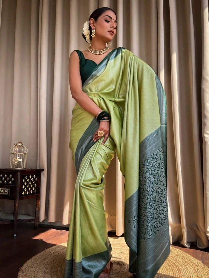 Flaunt Parrot Paithani Silk Saree With Gratifying Blouse Piece
