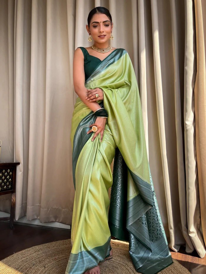 Flaunt Parrot Paithani Silk Saree With Gratifying Blouse Piece