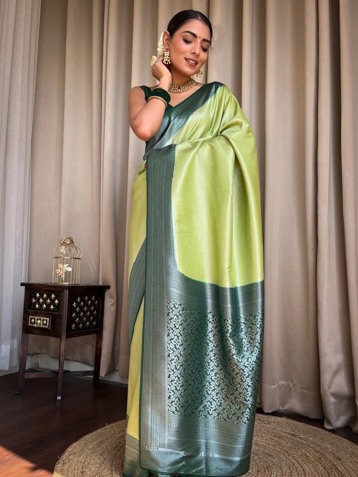 Flaunt Parrot Paithani Silk Saree With Gratifying Blouse Piece